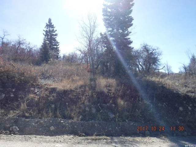 13830 E Juniper Dr #M-48, Fairview, UT 84629 — photo 2