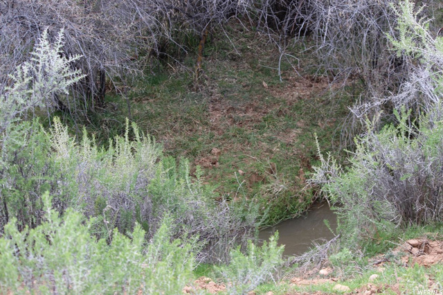 4689 N 10500 E, Lapoint, UT 84039 — photo 9