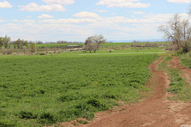 4689 N 10500 E, Lapoint, UT 84039 — photo 2