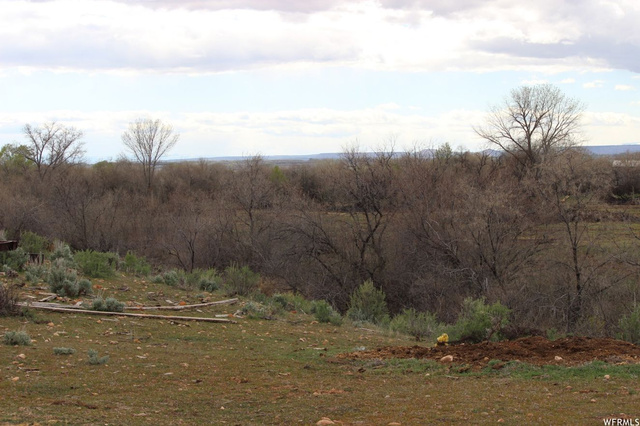 4689 N 10500 E, Lapoint, UT 84039 — photo 7