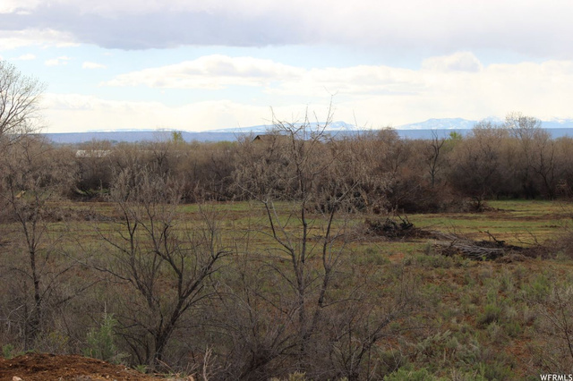 4689 N 10500 E, Lapoint, UT 84039 — photo 6
