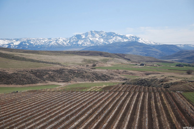 8463 S Horizon Dr #3, Paradise, UT 84328 — photo 4
