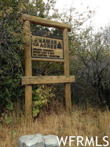 2463 N Upper Ridge Rdg E #27, Kamas, UT 84036 — photo 11