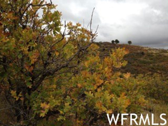 2463 N Upper Ridge Rdg E #27, Kamas, UT 84036 — photo 10