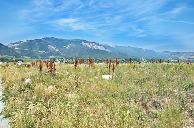 3720 N Foothill Ln E #8, Eden, UT 84310 — photo 11