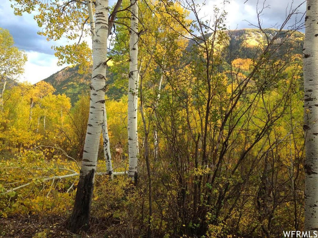 6726 E Geronimo #86, Oakley, UT 84055 — photo 11
