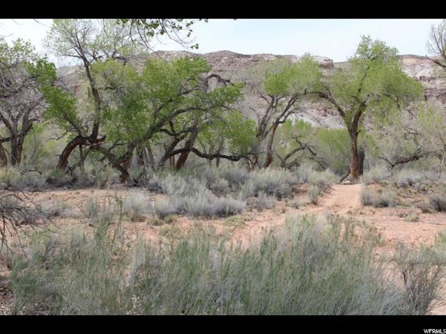 Torrey, UT 84775 — photo 8