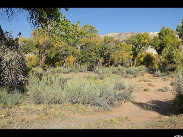 Torrey, UT 84775 — photo 6