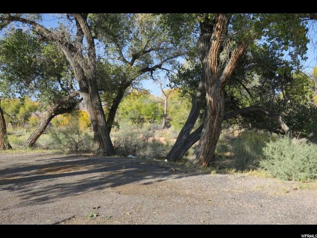 Torrey, UT 84775 — photo 7