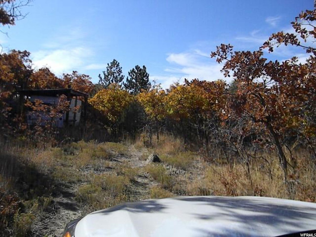 20000 E 200 S, Mt Pleasant, UT 84647 — photo 2
