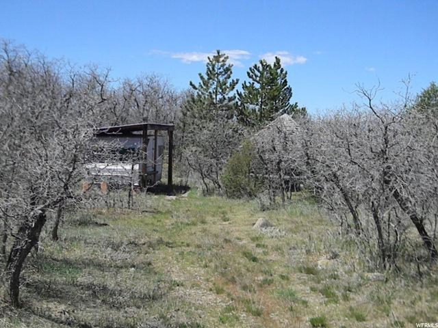 20000 E 200 S, Mt Pleasant, UT 84647 — photo 6