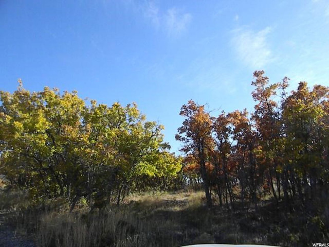 20000 E 200 S, Mt Pleasant, UT 84647 — photo 5