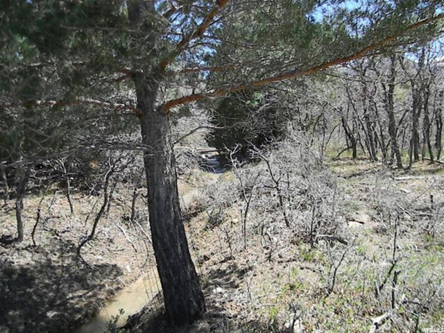20000 E 200 S, Mt Pleasant, UT 84647 — photo 11