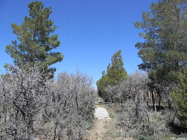 20000 E 200 S, Mt Pleasant, UT 84647 — photo 10