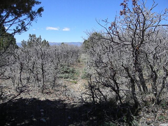 20000 E 200 S, Mt Pleasant, UT 84647 — photo 9