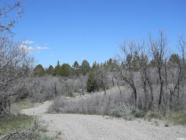 20000 E 200 S, Mt Pleasant, UT 84647 — photo 7
