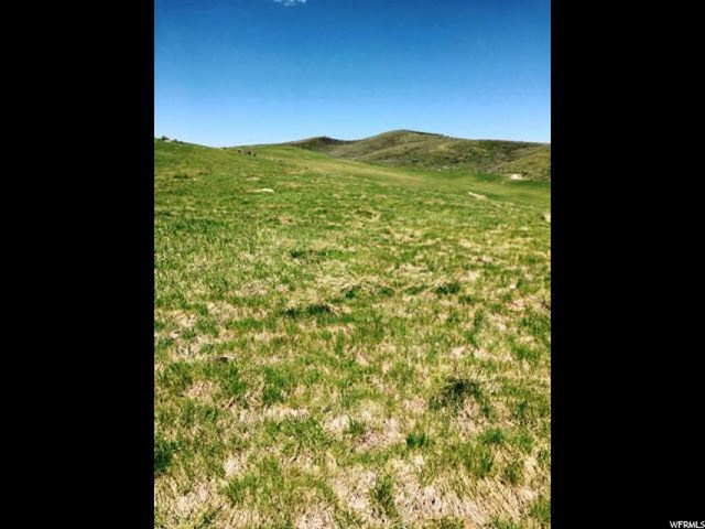 160 Acres - Bern, Bern, ID 83220 — photo 6