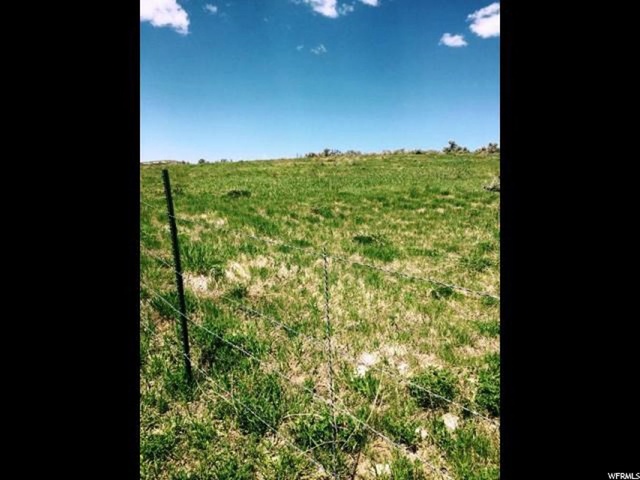 160 Acres - Bern, Bern, ID 83220 — photo 7