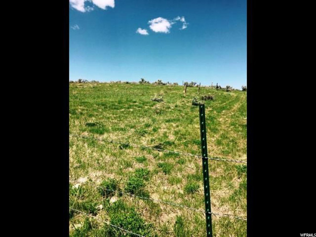 160 Acres - Bern, Bern, ID 83220 — photo 8