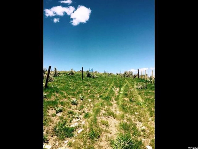 160 Acres - Bern, Bern, ID 83220 — photo 4