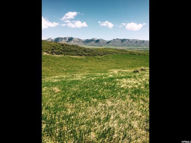 160 Acres - Bern, Bern, ID 83220 — photo 3