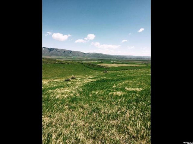 160 Acres - Bern, Bern, ID 83220 — photo 5