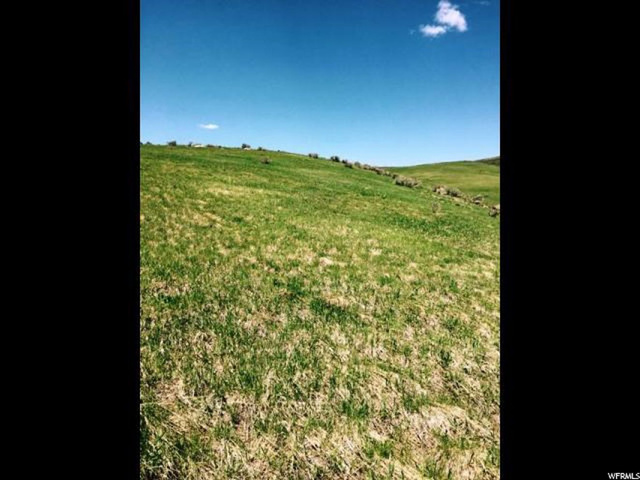160 Acres - Bern, Bern, ID 83220 — photo 9