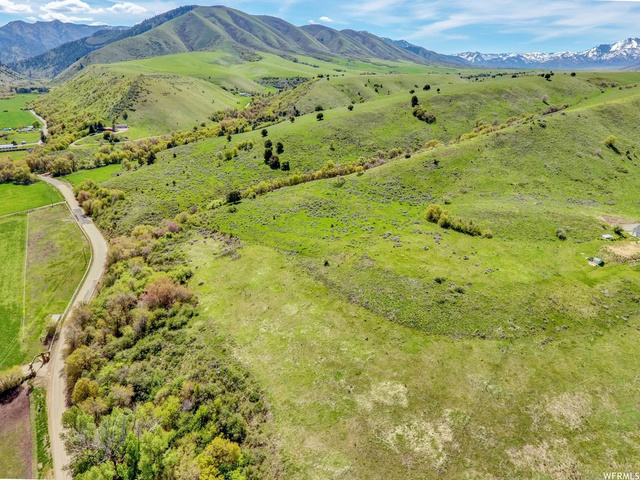 1446 E Canyon Rd S, Avon, UT 84328 — photo 4