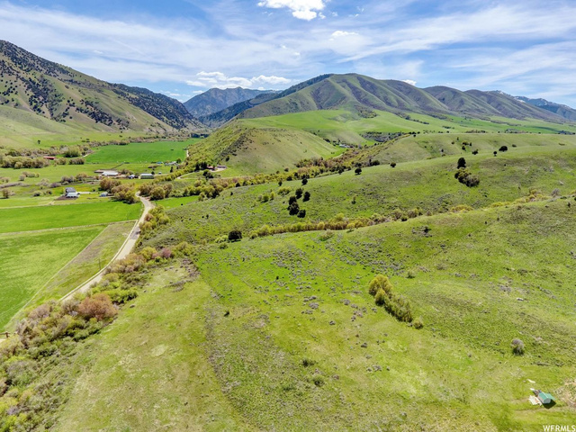 1446 E Canyon Rd S, Avon, UT 84328 — photo 3
