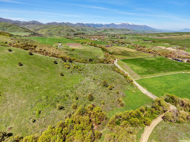 1446 E Canyon Rd S, Avon, UT 84328 — photo 5