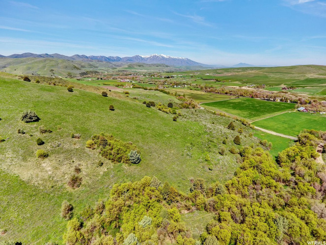 1446 E Canyon Rd S, Avon, UT 84328 — photo 6