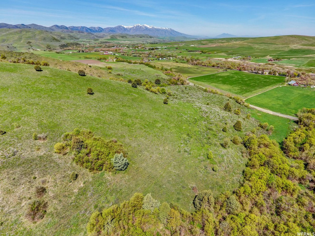 1446 E Canyon Rd S, Avon, UT 84328 — photo 8