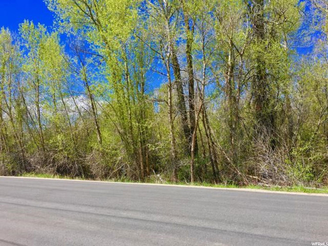 242 New Lane, Oakley, UT 84055 — photo 12