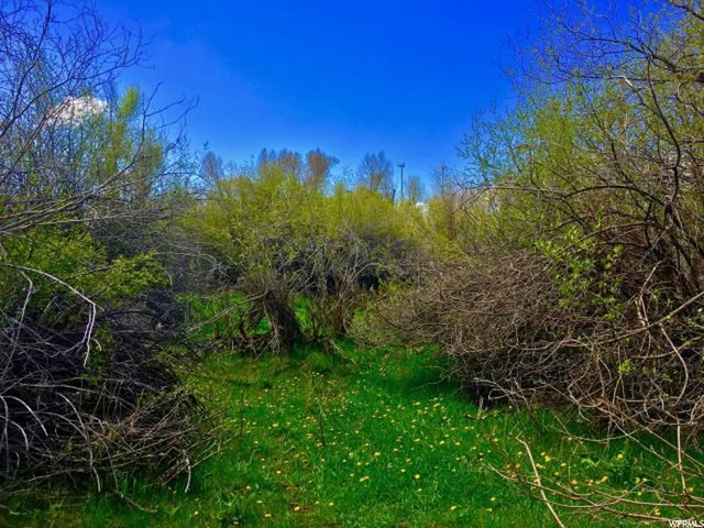 242 New Lane, Oakley, UT 84055 — photo 8