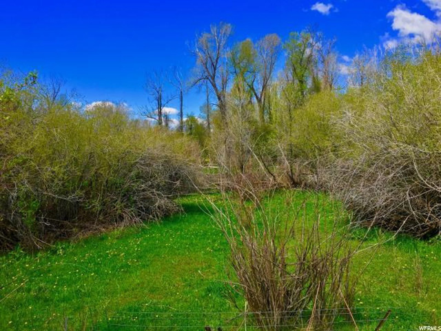 242 New Lane, Oakley, UT 84055 — photo 10