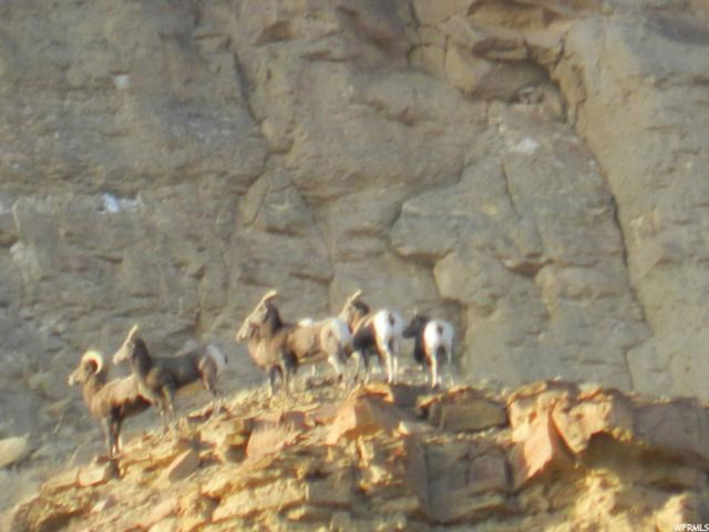 5000 Long St, Green River, UT 84525 — photo 11