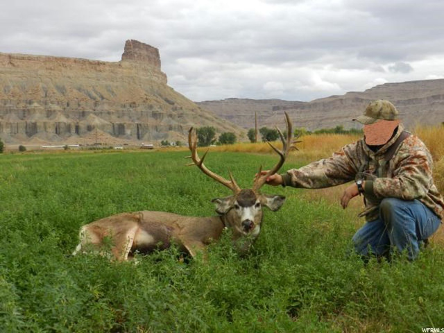5000 Long St, Green River, UT 84525 — photo 12
