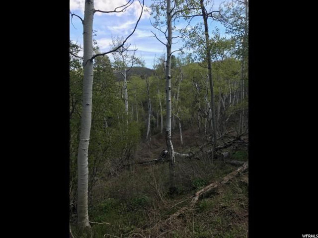 121 W Elkridge Rd #121, Echo, UT 84024 — photo 4