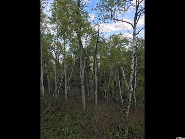 121 W Elkridge Rd #121, Echo, UT 84024 — photo 2