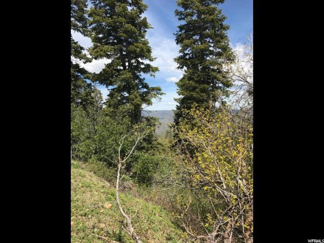 121 W Elkridge Rd #121, Echo, UT 84024 — photo 6