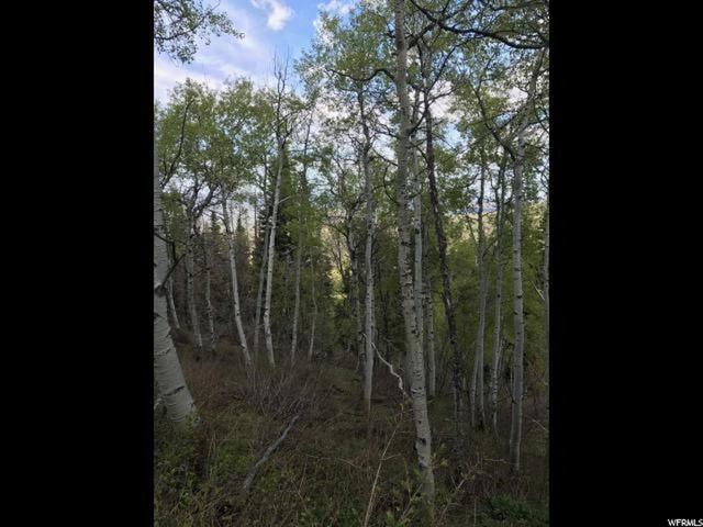 121 W Elkridge Rd #121, Echo, UT 84024 — photo 3