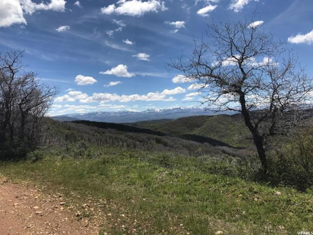 121 W Elkridge Rd #121, Echo, UT 84024 — photo 5