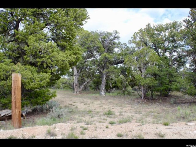 #288, Fruitland, UT 84027 — photo 5