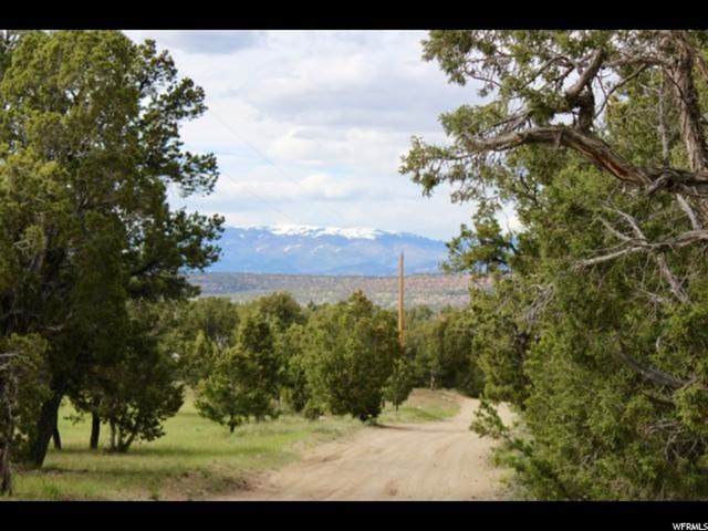 #288, Fruitland, UT 84027 — photo 4