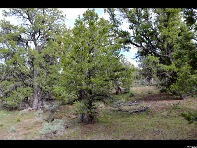 #288, Fruitland, UT 84027 — photo 8