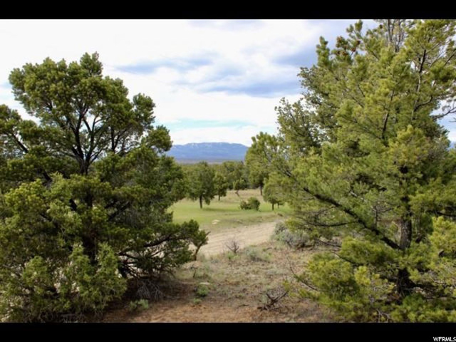 #288, Fruitland, UT 84027 — photo 6