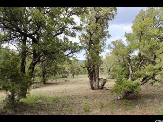 #288, Fruitland, UT 84027 — photo 2