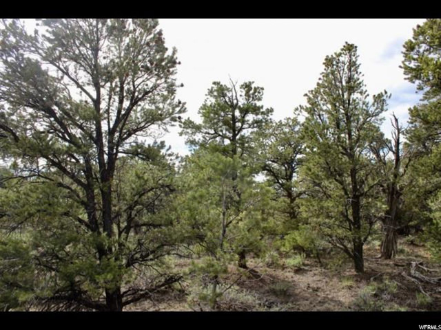 #288, Fruitland, UT 84027 — photo 12