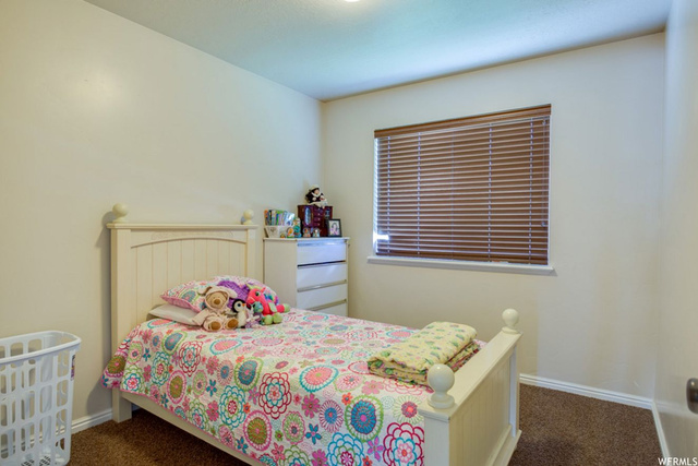 215 S 600 E, Mt Pleasant, UT 84647 — photo 10