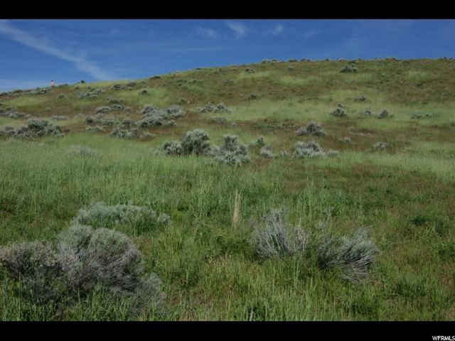 10905 N Wallace Ln, Thatcher, UT 84337 — photo 3